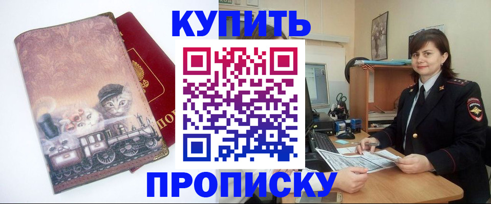 прописка в Шатуре